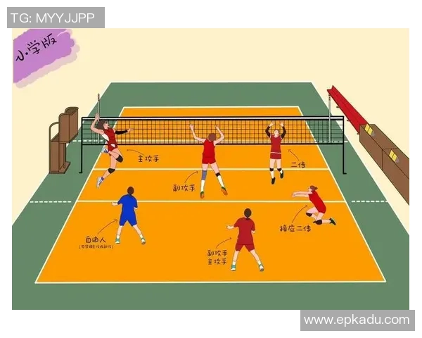 武汉排球队转换打法深度分析与战术演变探讨 武汉排球队转换打法深度分析与战术演变探讨