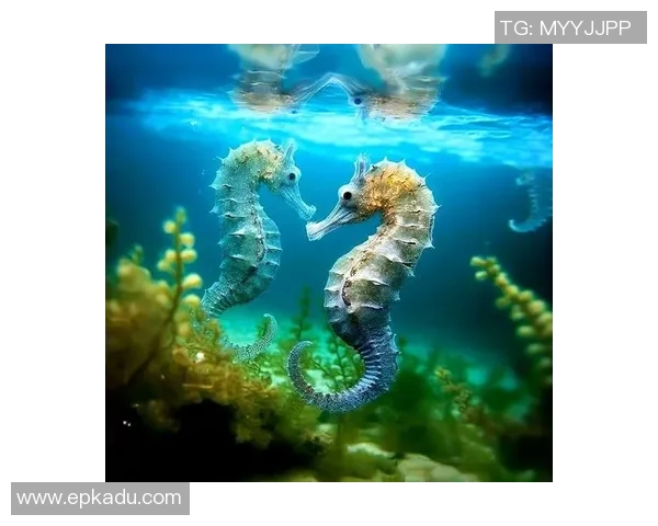 仙台七夕与海洋的奇妙交融探寻传统与自然的美丽结合 仙台七夕与海洋的奇妙交融探寻传统与自然的美丽结合