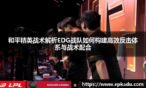 和平精英战术解析EDG战队如何构建高效反击体系与战术配合