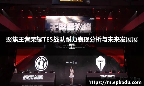 聚焦王者荣耀TES战队耐力表现分析与未来发展展望